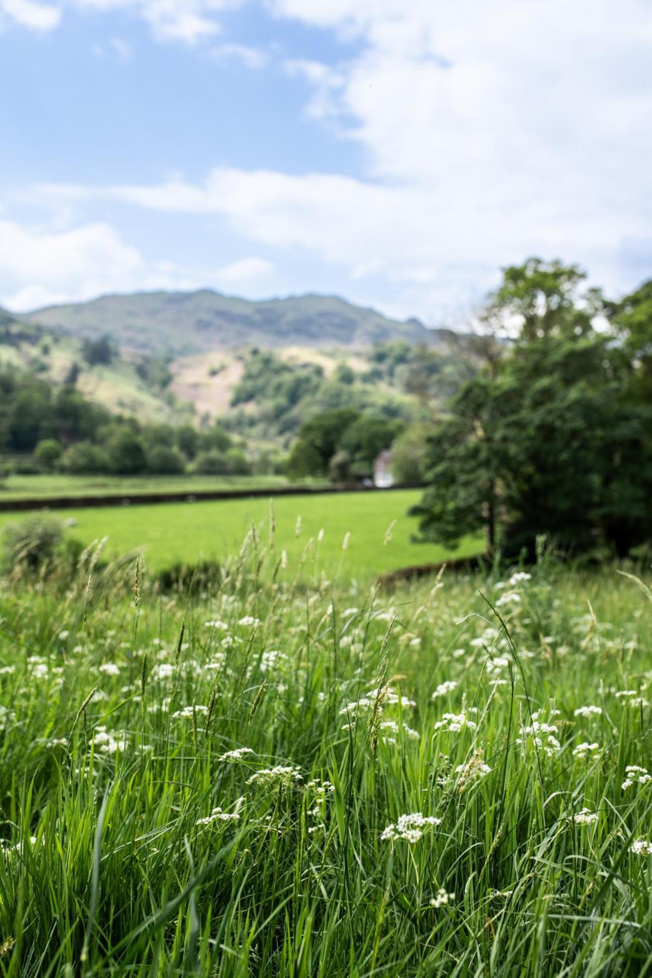 Lancrigg Hotel Grasmere Exterior foto